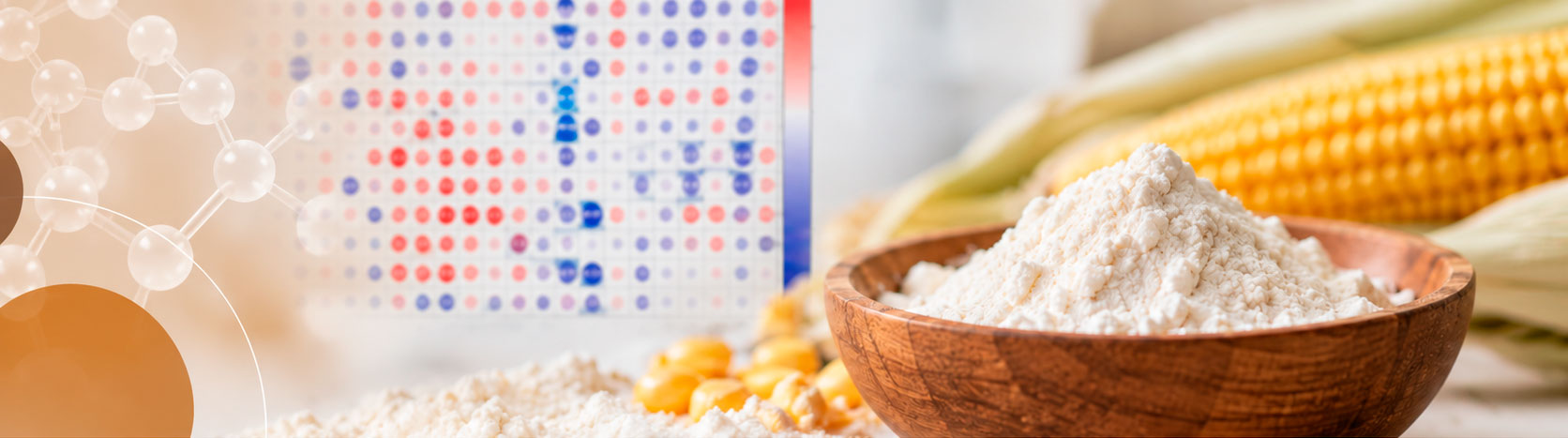 Molecular insights into the microwave modification of starch functionality