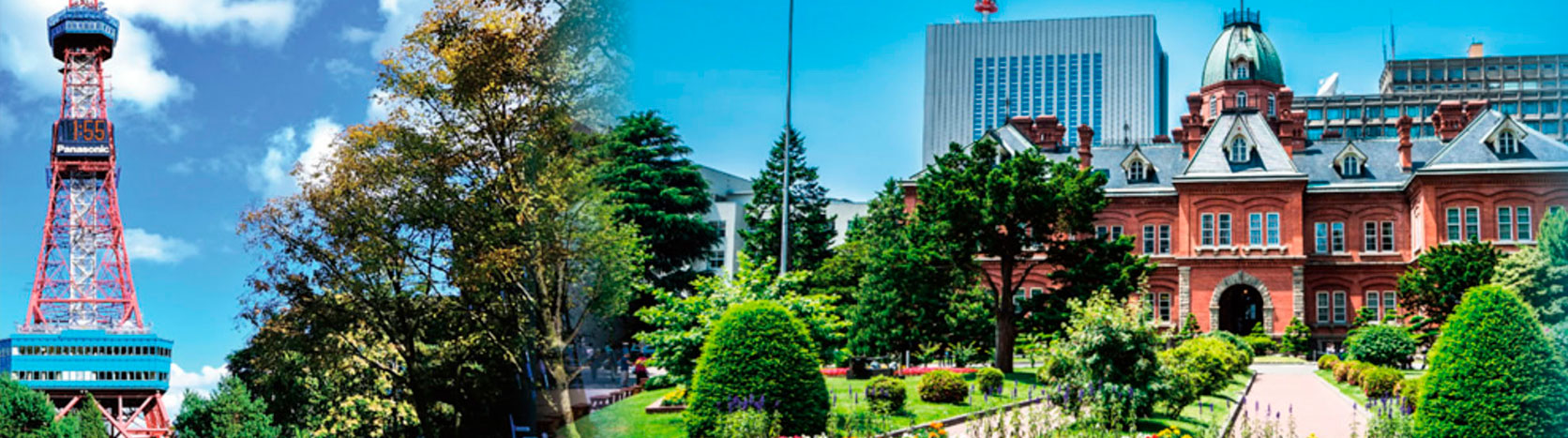 BioEcoUVa takes part in SuperGreen 2026 in Sapporo, Japan